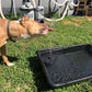 🌺LAST DAY SALE ￡9.99!!✨🏠Upgraded Solar Powered Water Fountain Pump With Accessories