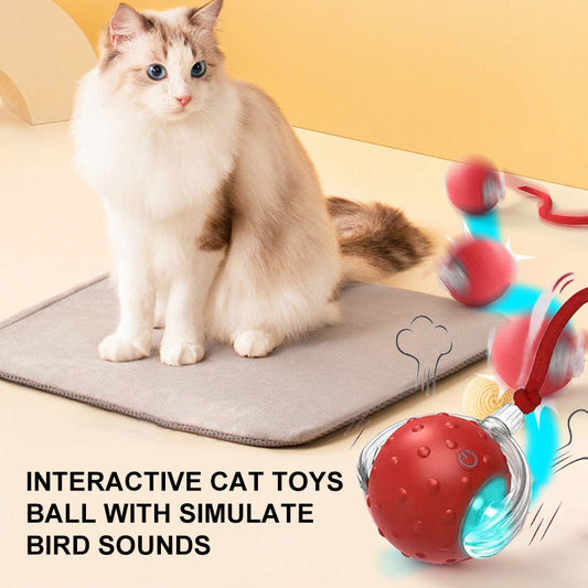 🔥HOT SALE 50% OFF🔥Interactive Cat Toys Ball with Simulate Bird Sounds
